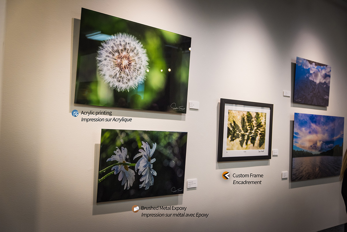 Acrylic Printing Custom Acrylic prints