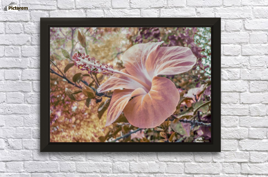Fantasy Colors Hibiscus Flower Digital Art Daniel Ferreia Leites Fantasy Colors Hibiscus Flower Digital Art Wall Decor Frame