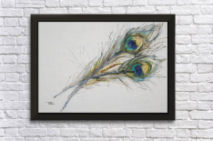 feathers painting watercolor peacock frame