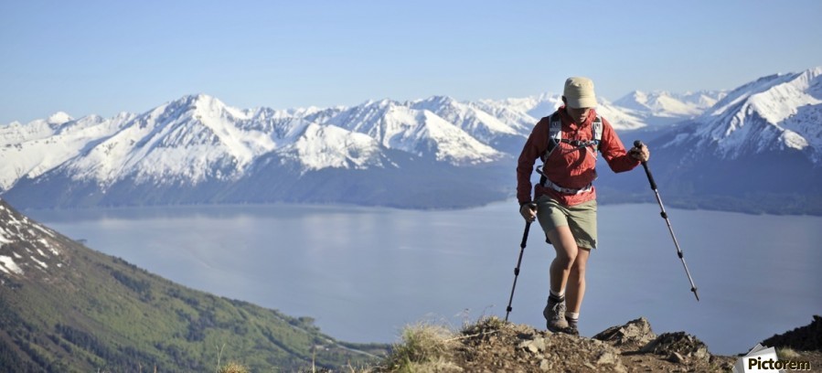 Woman Hikes Up The Bird Ridge Trail In Chugach State Park With The Scenic Kenai Mountains And Turnagain Arm In The Background, Southcentral Alaska, Summer  Print