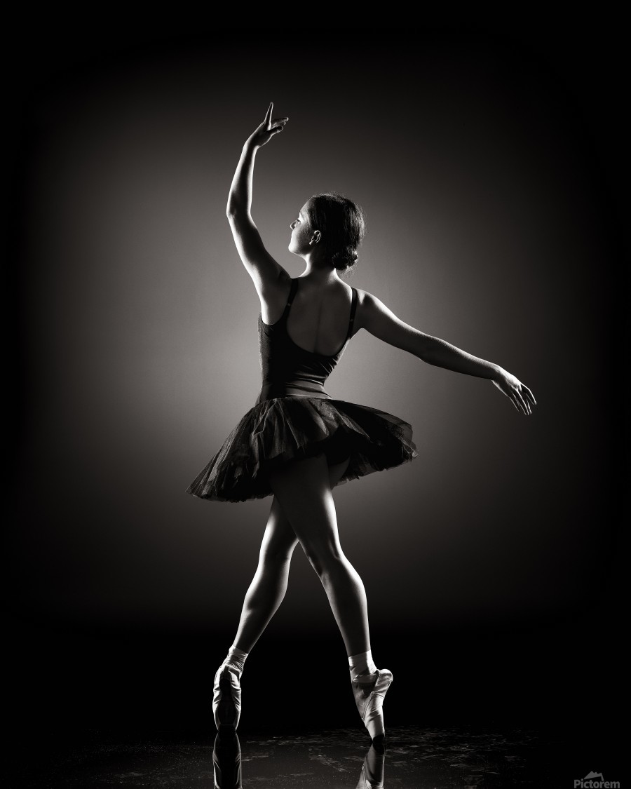 Ballerina Dancing Johan Swanepoel 