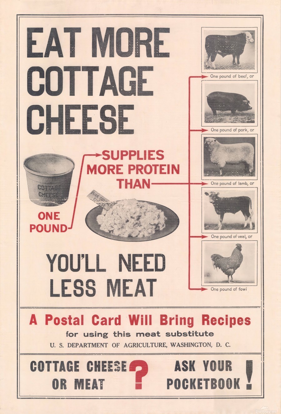 Eat More Cottage Cheese Vintage Poster Canvas