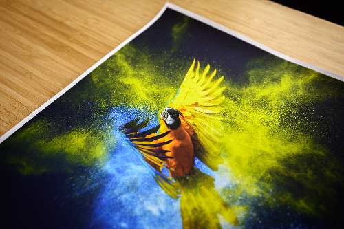 Canvas Paper