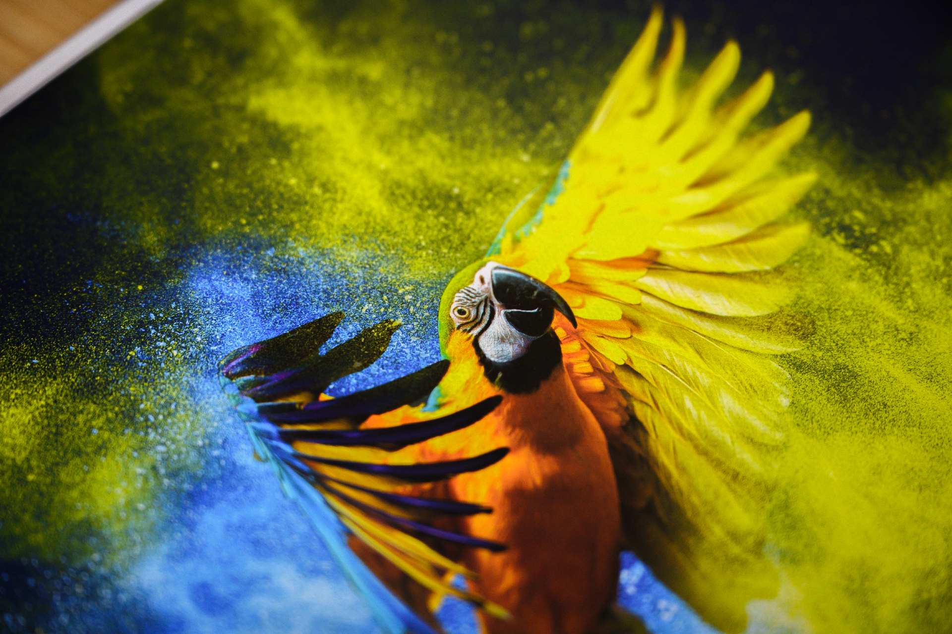 best online fine art printing best online fine art printing