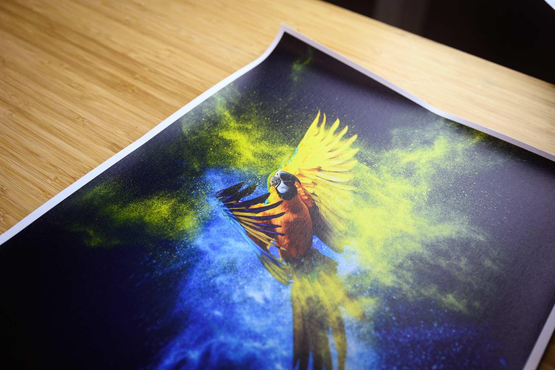 Fine Art Photo Printing