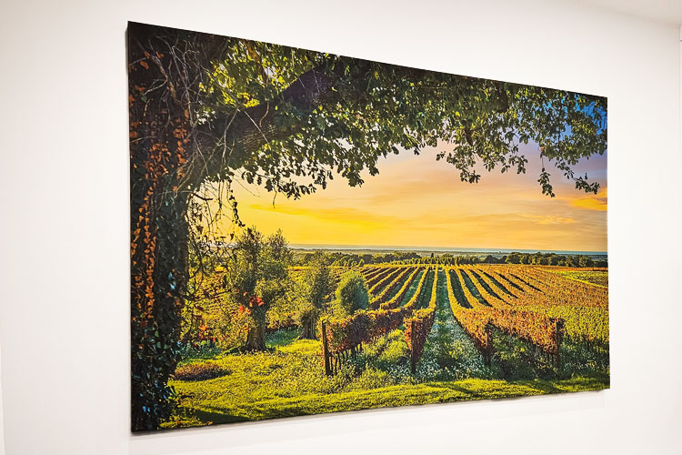 Stretched Canvas