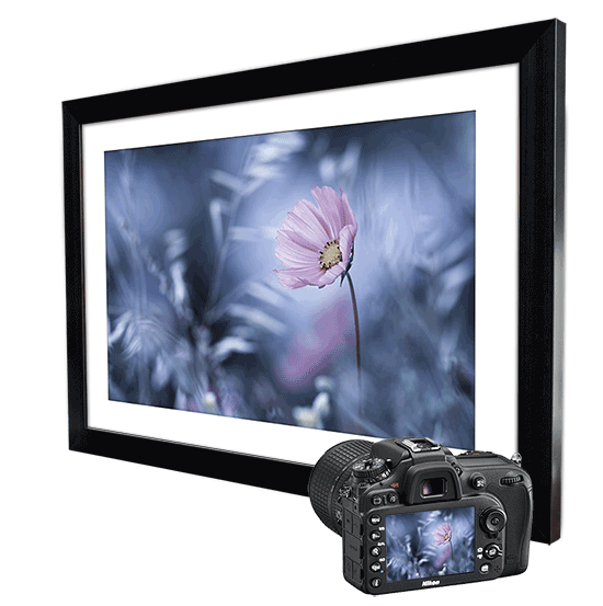 Custom Picture Frame Custom Framing & Printing