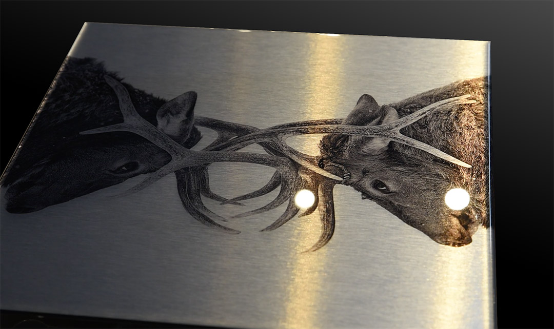 Epoxy Metal Print Epoxy Metal Print