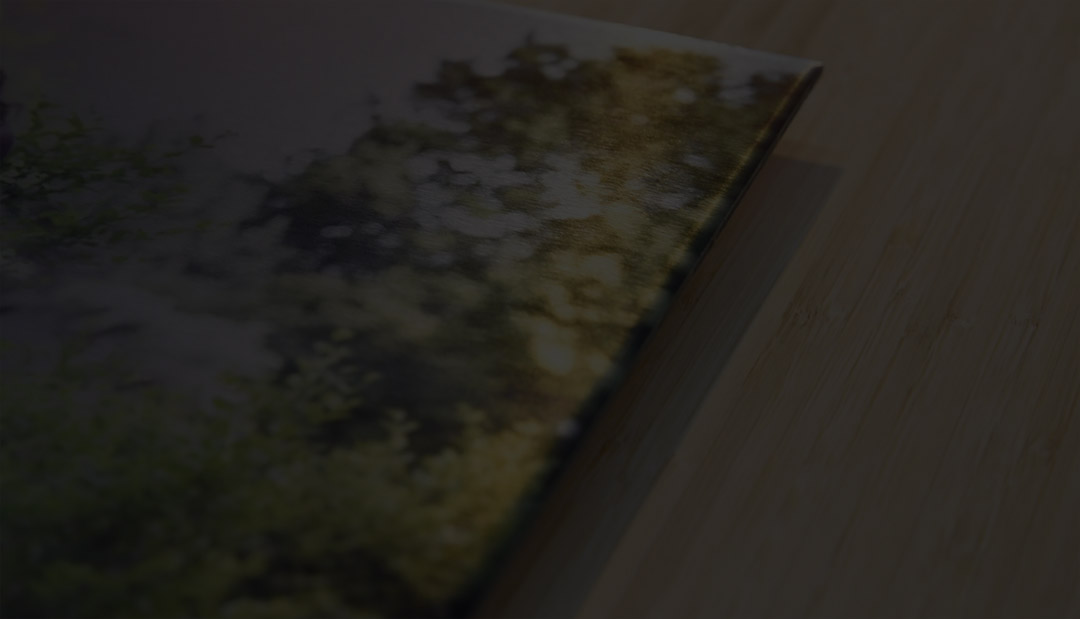 Canvas print