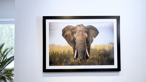 Standard Framed Print