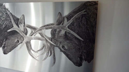 Brushed Metal