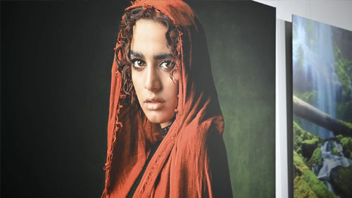 Canvas Print