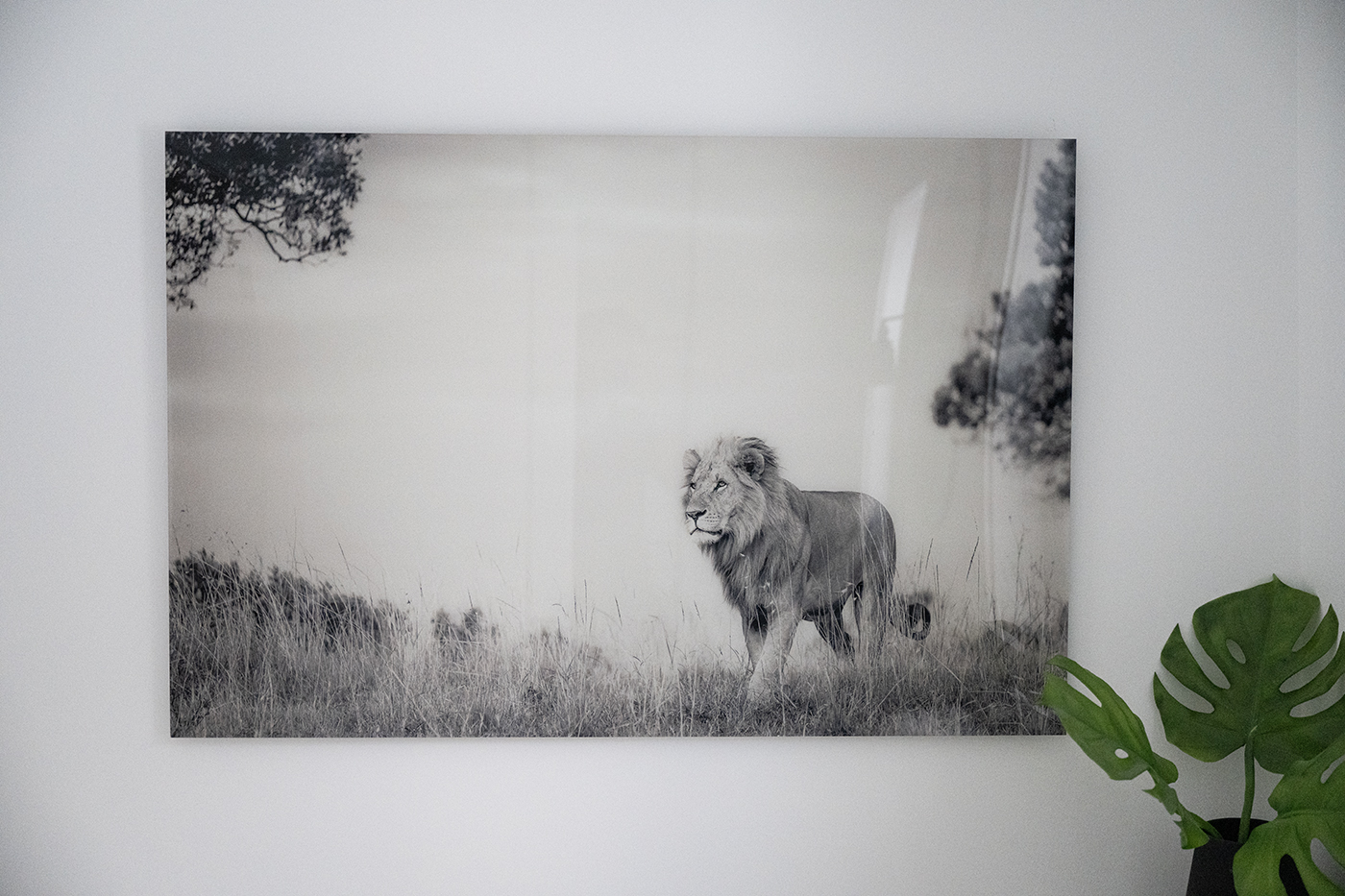 Acrylic print of a Jacques-André Dupont image