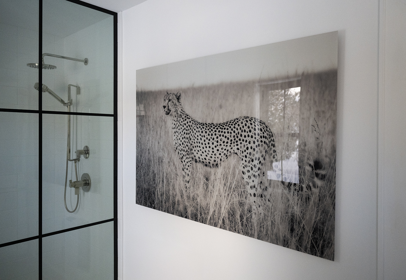 A Jacques-André Dupont image, printed on acrylic. Photo: Fabien Dormoy.