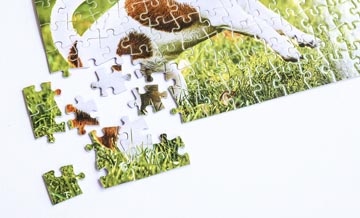 Custom Photo Puzzle