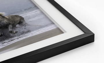 Shadow Box