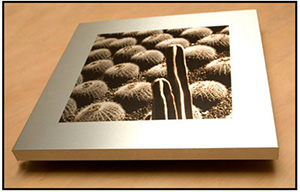 Brushed Aluminum Print