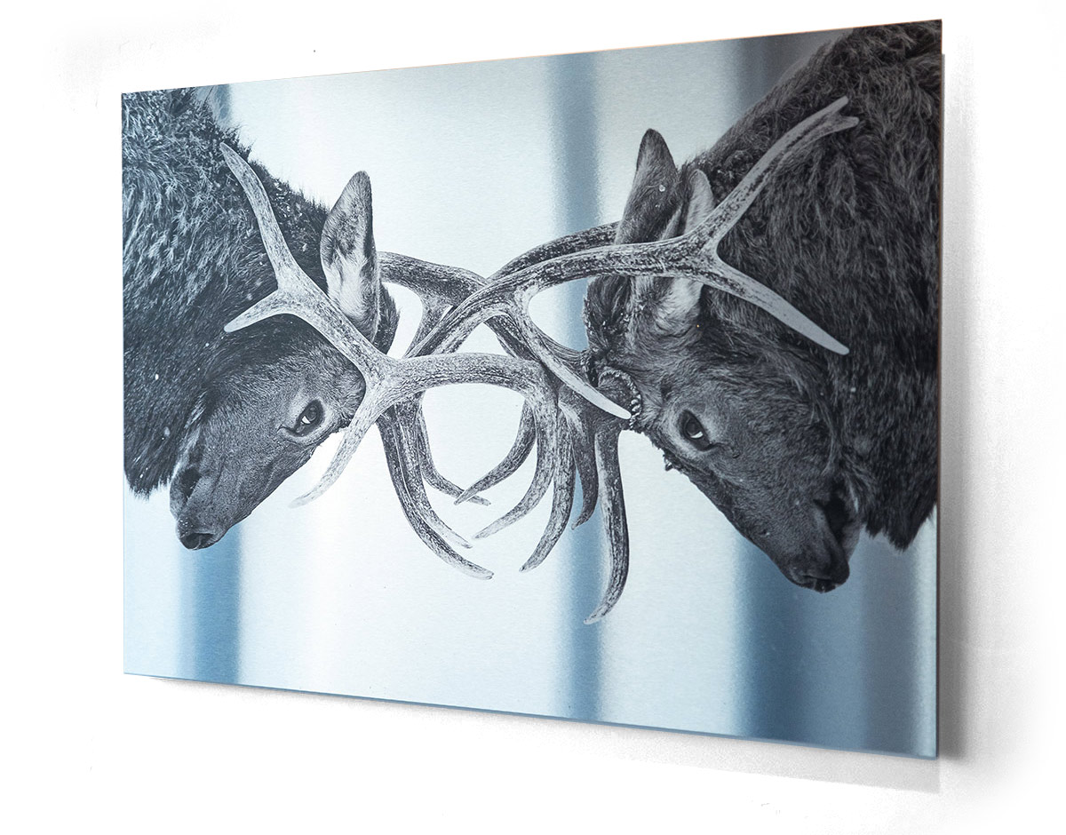 Metal Printing, Custom Metal prints