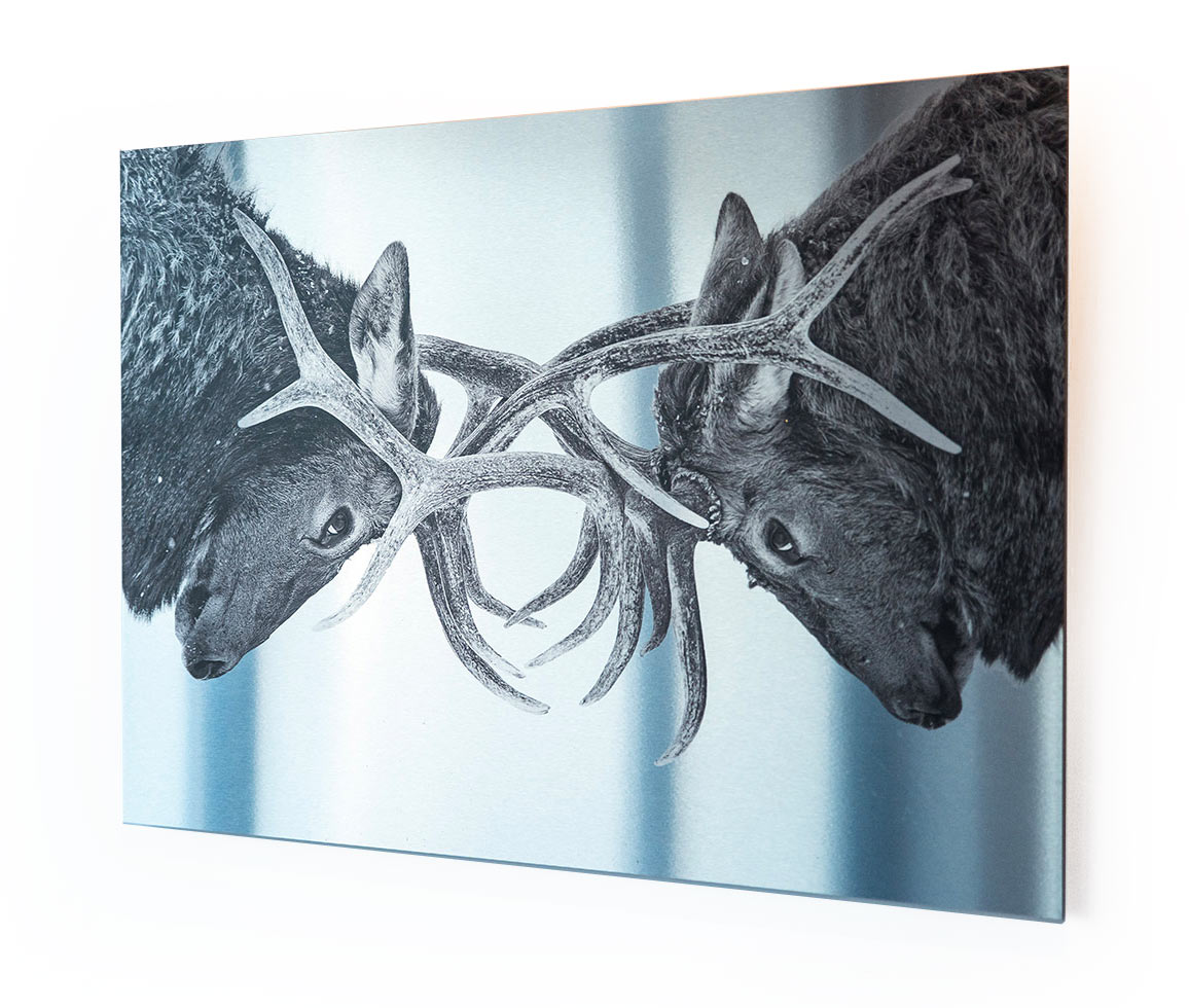 custom brushed metal prints