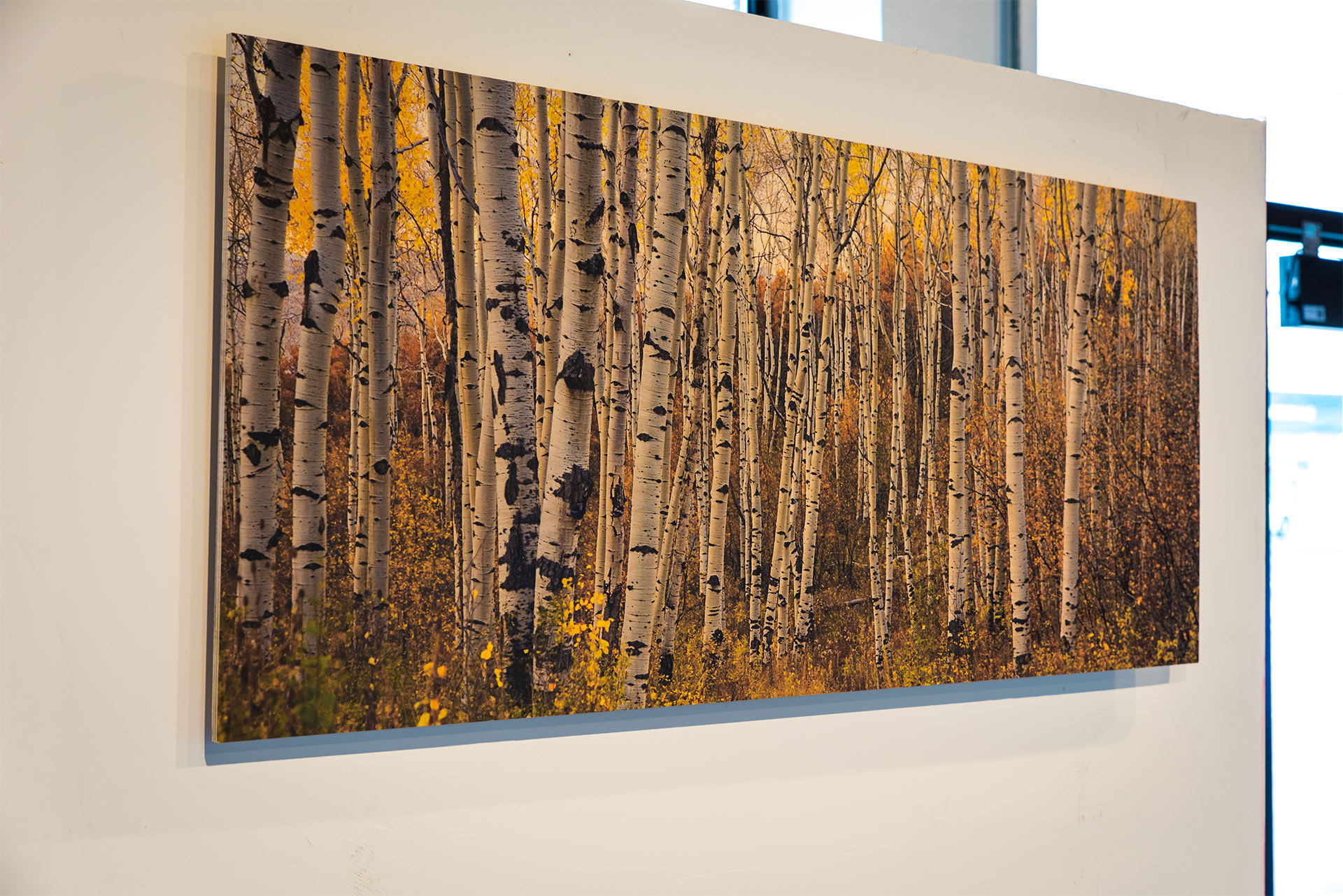 Wood Printing Custom Wood Prints