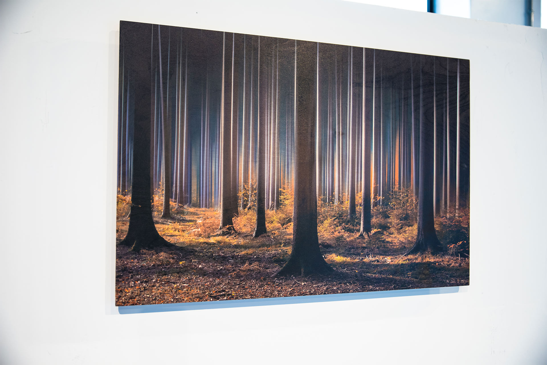 Wood Printing Custom Wood Prints