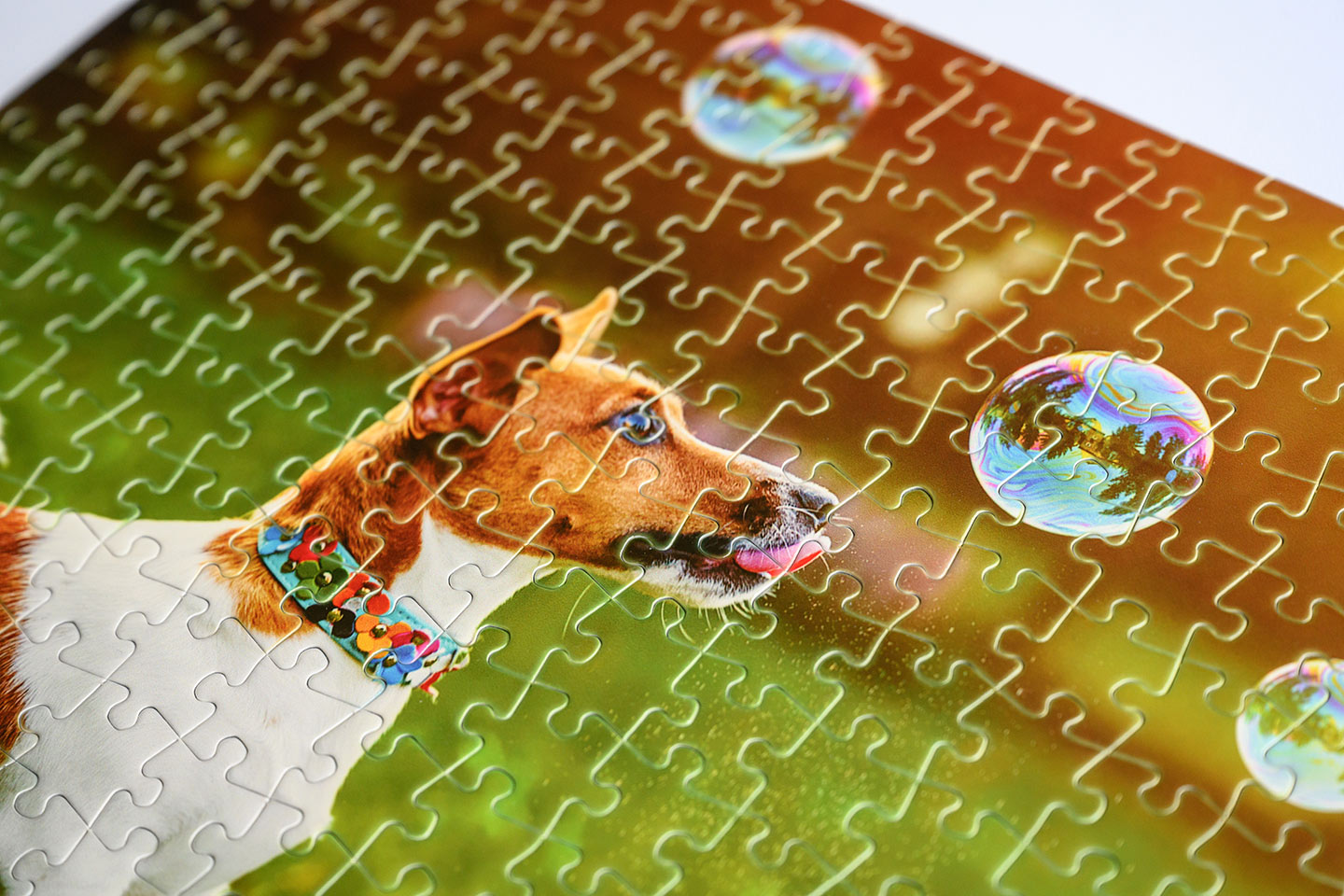 Photo Puzzles, Custom Puzzle