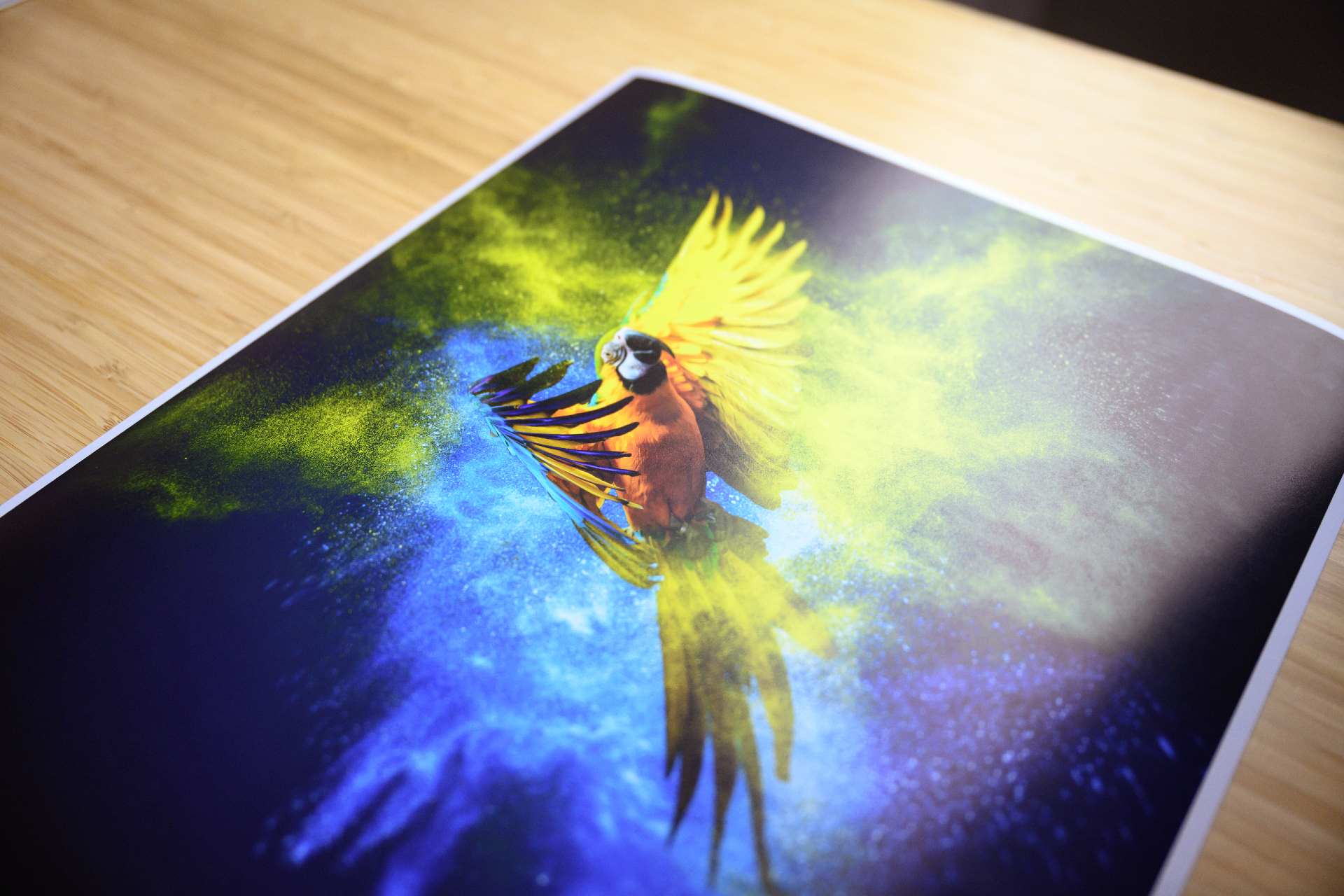 best online fine art photo printing best online fine art photo printing