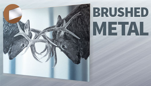Brushed Metal Print