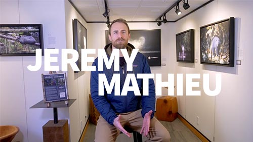 Jeremy Mathieu Exhibit