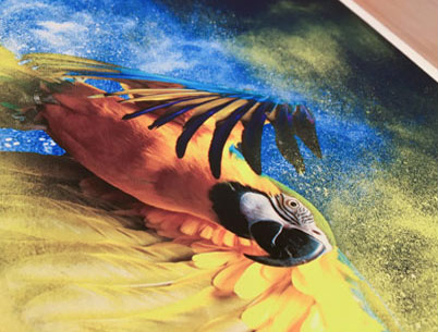 70x50cm encadr/ée Motif Moderne Un /él/ément D/écoration 2680 Image sur Toile Impression sur Toile AA70x50-2680 Tableaux pour la Mur Pret a accrocher prete a Suspendre