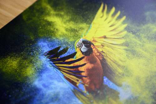 Vinyl Printing