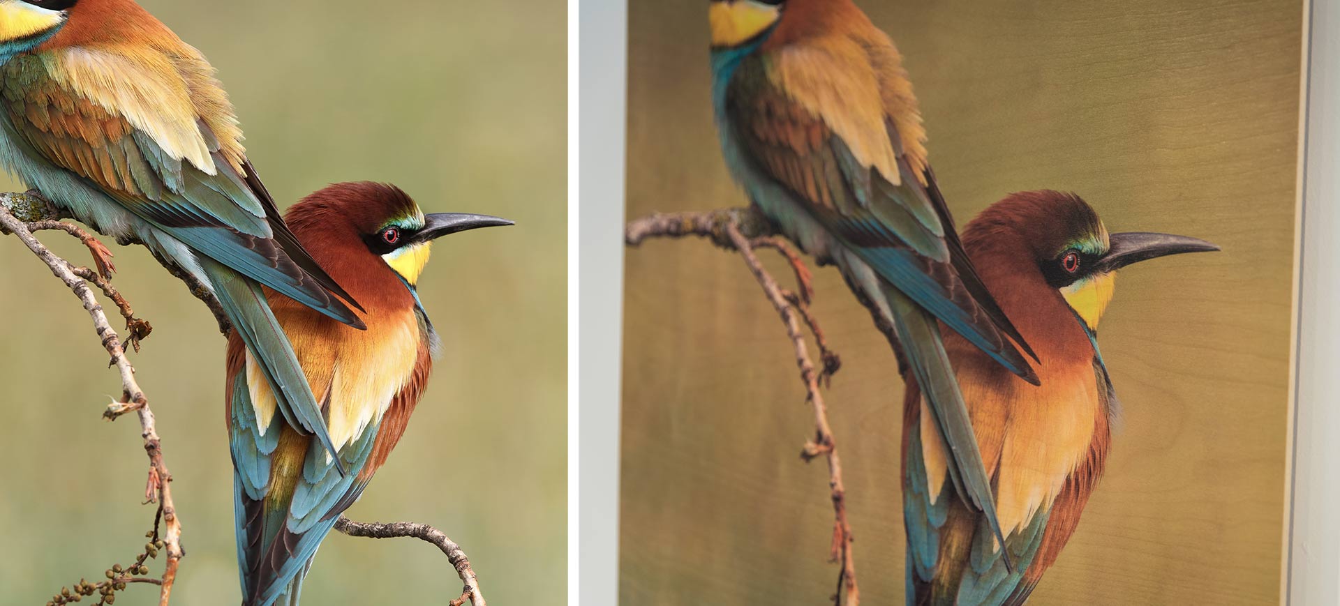 Wood Printing Custom Wood Prints