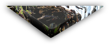 Canvas Print Gallery Wrap