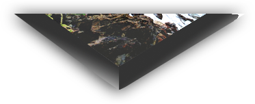 Canvas Print Museum Wrap