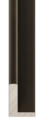 picture Frame 301-21 ESPRESSO FLOATING FRAME 