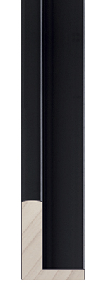 picture Frame 301-29 BLACK FLOATING FRAME 