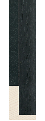 picture Frame 303-19 BLACK FLOATING FRAME 