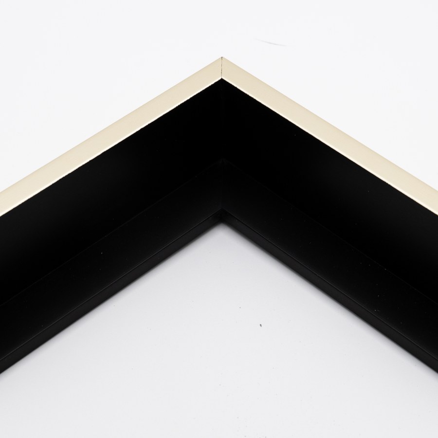 Picture Frame 360-23 WARM SILVER FLOATING FRAME