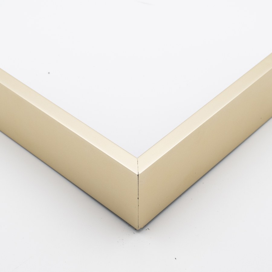 Picture Frame 360-23 WARM SILVER FLOATING FRAME