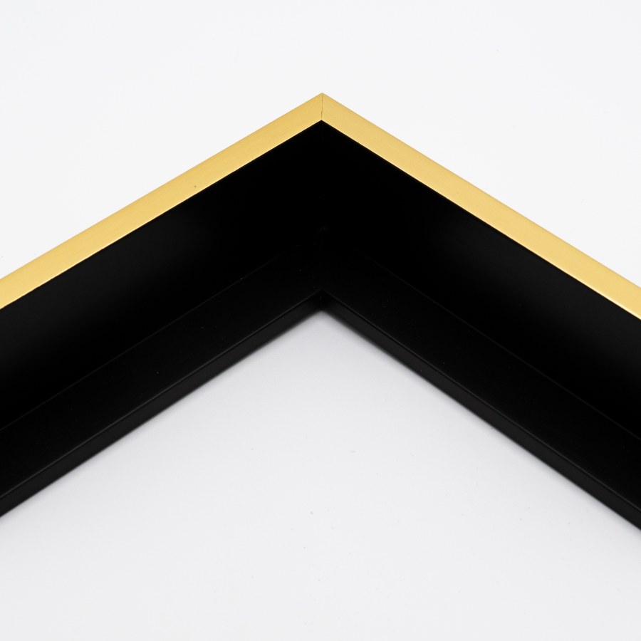 Picture Frame 360-30 GOLD FLOATING FRAME