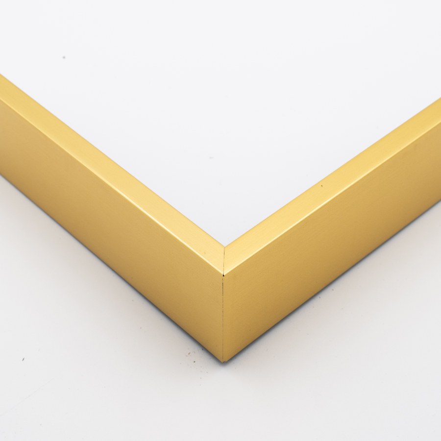 Picture Frame 360-30 GOLD FLOATING FRAME