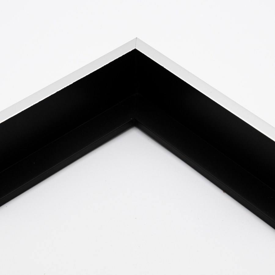 Picture Frame 360-73 SILVER FLOATING FRAME