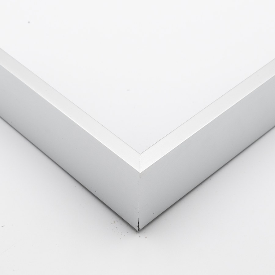 Picture Frame 360-73 SILVER FLOATING FRAME