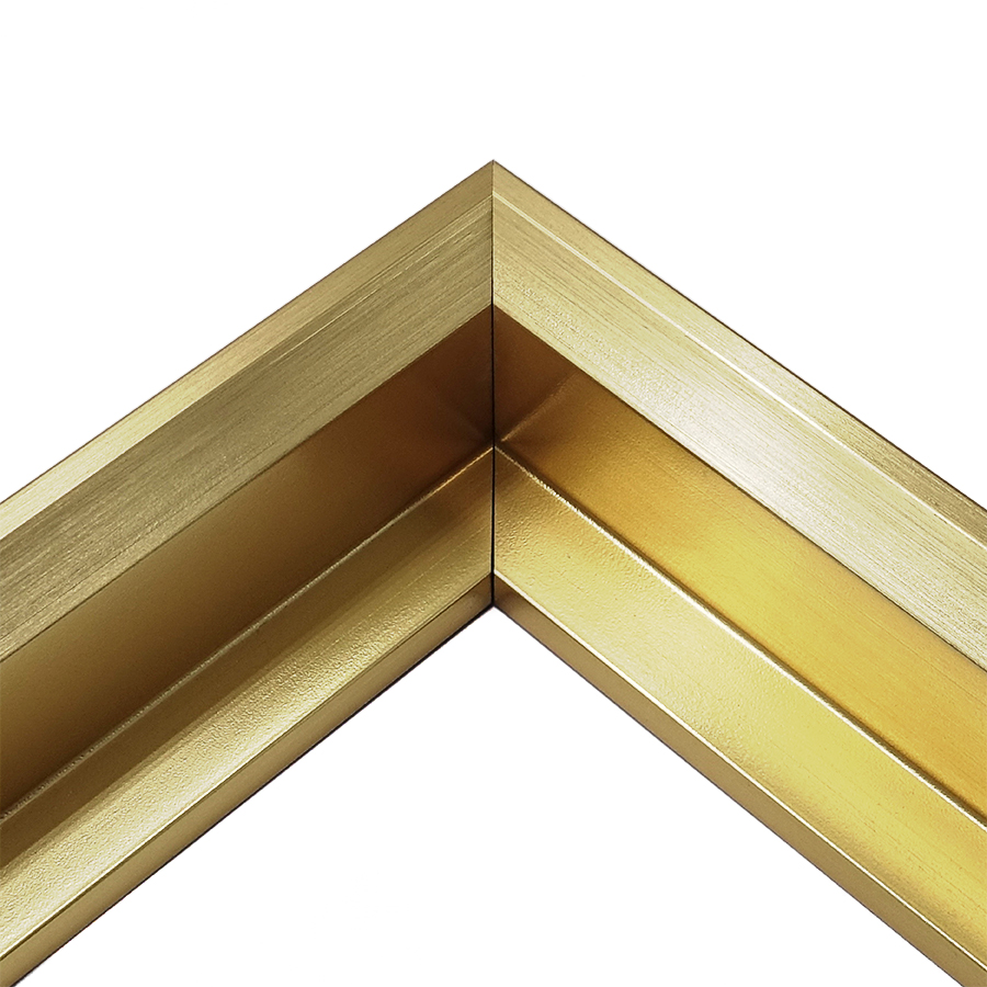 picture Frame 613-50 GOLD FLOATING FRAME 