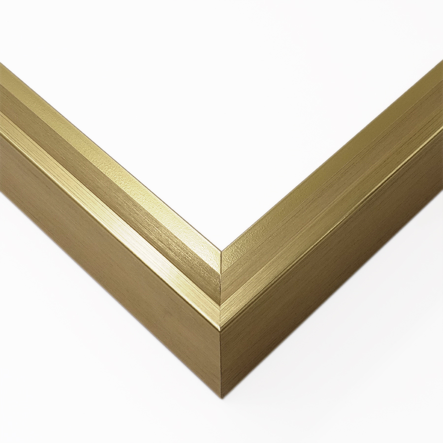 picture Frame 613-50 GOLD FLOATING FRAME 