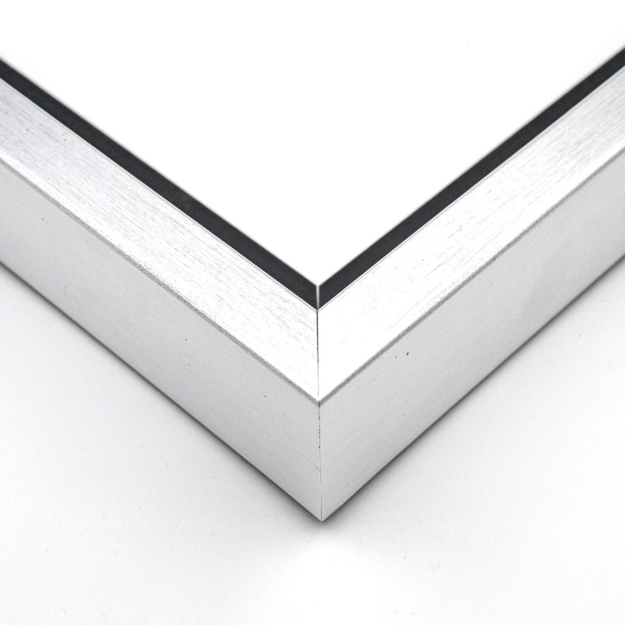 picture Frame FL-814-711 SILVER FLOATING FRAME 