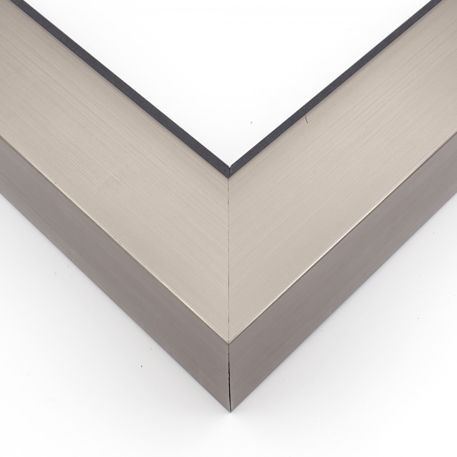 picture Frame FL-816-966 CHAMPAGNE FLOATING FRAME 