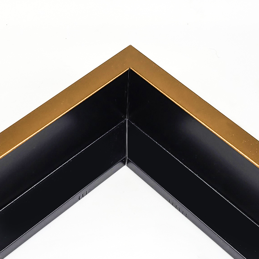 picture Frame FL514-40 GOLD BLACK FLOATING FRAME  