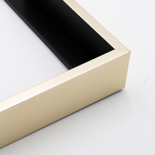 360-23 WARM SILVER FLOATING FRAME