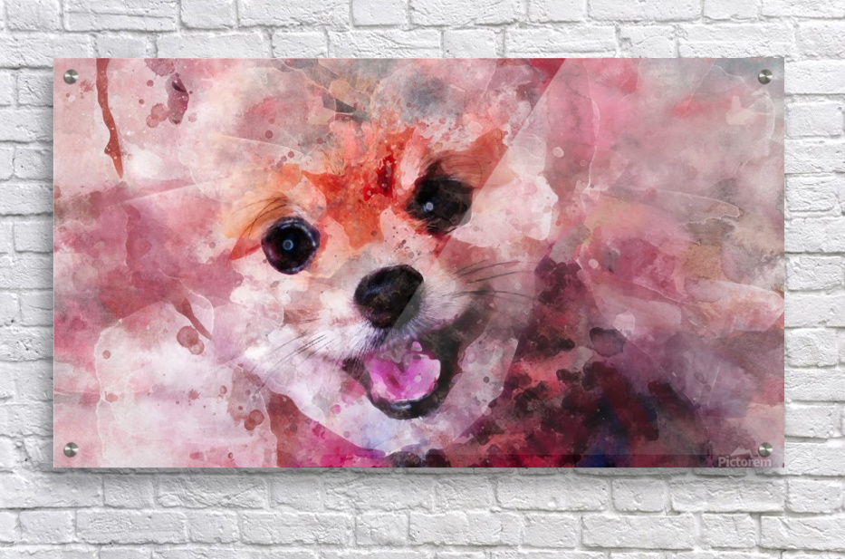 POMERANIAN THREE DOGS LOVELY DOG PRINT MOUNTED READY TO FRAME